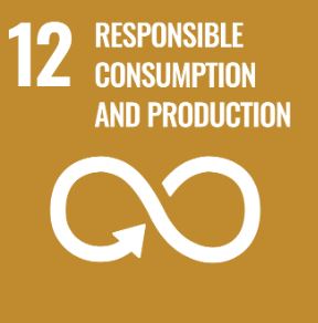 SDG 12 — Responsible Consumption and Production